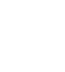 Femme Vibes Shop